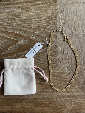 Uncommon James Gold Mesh Necklace with Pouch